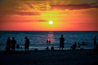 101 - Palms of Treasure Island - St Pete Beach - 1
