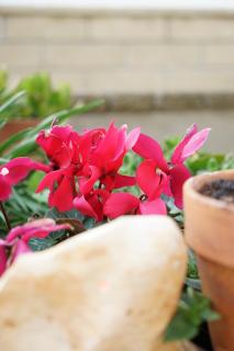 Panorama Rooms 4 - 1