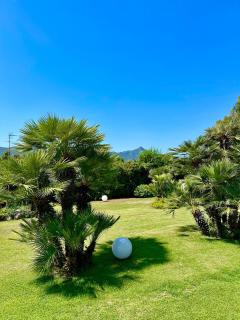Dependance in Villa - San Felice Circeo - 5