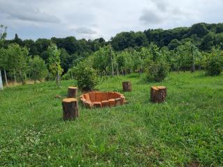 Hiša nad vinogradom - Ptuj - 9