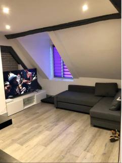 Appartement refait à neuf en centre ville - 3