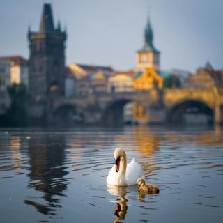 Room for three number1 Prague 7 - Prag - 4