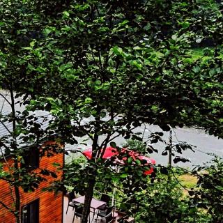 Peaceful wooden house in the heart of nature - Ardeşen - 3