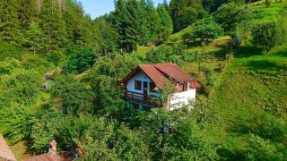 Cabana Vânătorilor - 9