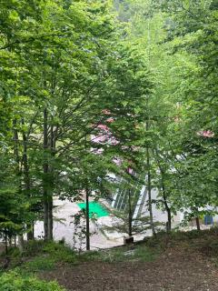 Dardha INN - 6