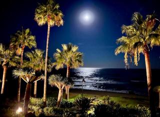 Dream Holidays by the Sea Estepona - 1