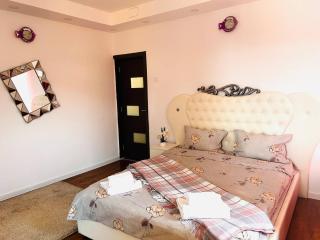 Simple and Cozy Room in Voluntari - 3