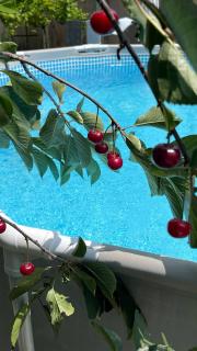 House in Arcadia - Odessa - 9