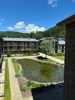Apartmán Medvědín 100 - Špindlerův Mlýn - 9