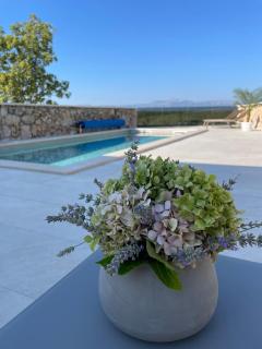 Hideaway Stonehouse pool for 2 Dalmatia Imotski - Medvidovići - 8