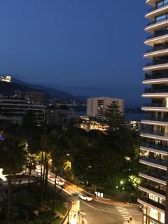 Heart of Monte Carlo - 1 Min from the F1 Track - Monte Carlo - 8