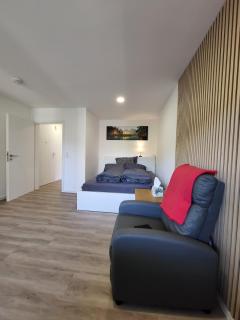 Gemütliche Einzimmerwohnung - Künzelsau - 8