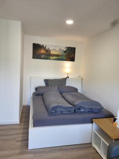 Gemütliche Einzimmerwohnung - Künzelsau - 1