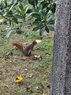 Maison de campagne - 5