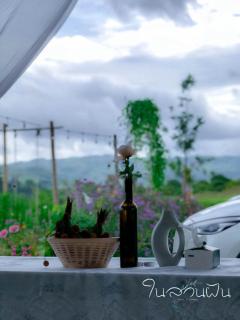 Safari Camping Type - Ban Thung Samo - 4