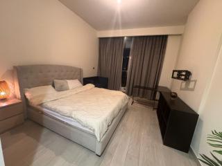Azizi Riviera Luxury Studio with Grand Balcony - 9