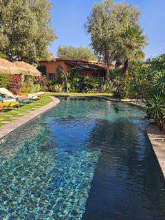 oasis de paix - 3