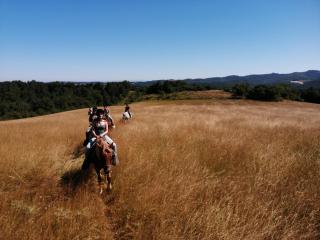 Mobilhome Ferme équestre La Mouillère - 2