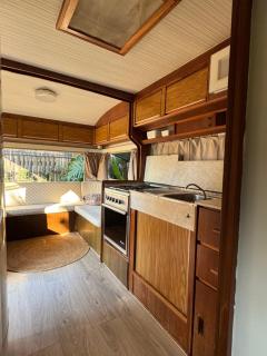 Trailer Vintage no Sítio Wanderlust - 3