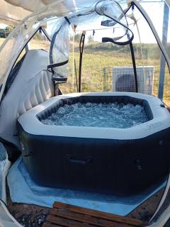 ROUPILLON A JANET - 9