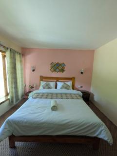 White Apricot Lodge - Baltit - 6