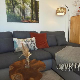 Ferienwohnung Naturverliebt im Schwarzwald - mit Sauna und Panoramabalkon, direkt an Skipiste und Wanderwegen - 8