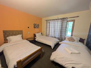 White Apricot Lodge - Baltit - 2