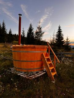 Poiana cu Sinziene - 8