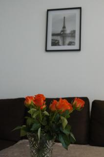Charming and Spacious Apartment - Close to City Center - 6