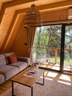 Molika Forest House - 9