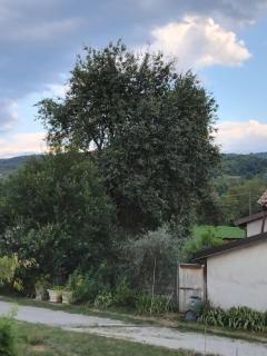 Cascina Nuova - 6