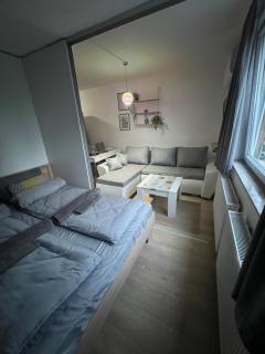 Firefly Studio Apartment - Sarajevo - 0