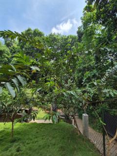 Tropical Green Villa - Kandy - 6