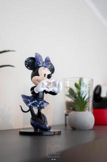 World of Disneyland, 4 personnes, Wifi - 8