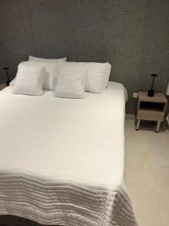 Manglar - Ciudad Mallorquin - 5