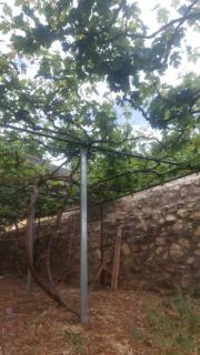 عجلون - Ajloun - 4