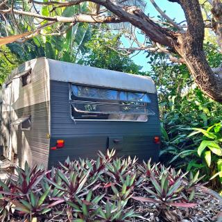 Vintage Coral Blue - 4