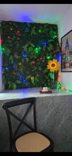 Juljete's Nest - Tirana - 9