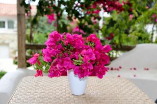 Bellavista Apartments Bougainville Bay - Saranda - 8