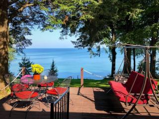 Pine Cottage Lakefront Hot Tub Fire Pit - Sodus - 4