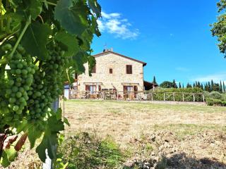 I Vigneti del Chianti - 2