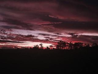 Joanda Farm Stay - Kumbia - 4