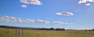 Joanda Farm Stay - Kumbia - 5