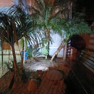 Apartamento térreo aconchegante com estacionamento na porta - Santa Cruz do Sul - 1