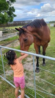 Dewdrop Cottage - Hastings - 6