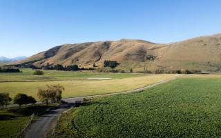 Tussock Views by Tiny Away - 5