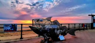 KPC-HELLYEAH caravan - Humberston - 7