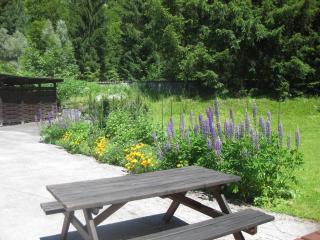 Landhaus Alexa - Eben im Pongau - 4