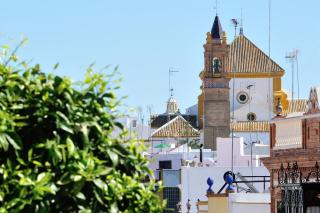 New Andalusian House 31 Free Private Parking - Mairena del Alcor - 3