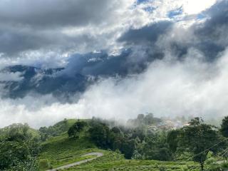Naman Homestay - Darjeeling - 3